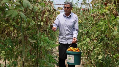 Yetiştirdiği ürünleri, aracısız satan çiftçinin yüzü güldü