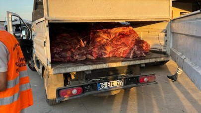 Tek Tırnaklı Hayvan Eti Skandalı