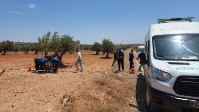 Bir genç zeytin tarlasında ölü bulundu