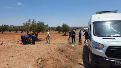 Bir genç zeytin tarlasında ölü bulundu
