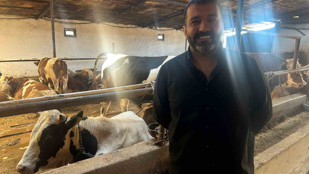 Bayrama sayılı günler kala bazı üreticide kurbanlık hayvanlar tükendi