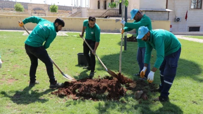 Haliliye’de Yeşil Alanlar Artıyor, Parklar Yenileniyor