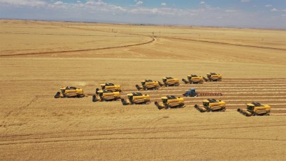 Ceylanpınar TİGEM'de hasat dönemi başladı