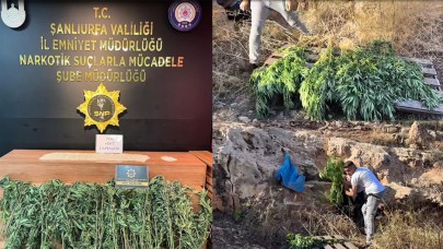 Şanlıurfa’da Zehir Operasyonu