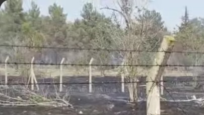 Atatürk Barajında korkutan yangın