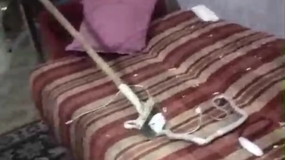 Evde yakalanan yılan doğaya salındı