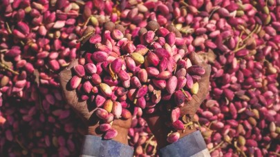 'Şanlıurfa Keten Köyneği Fıstığı'ndaki gizli mucize