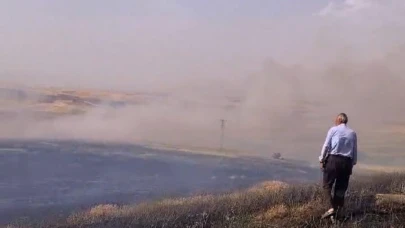 60 dönüm biçilmemiş buğday kül oldu