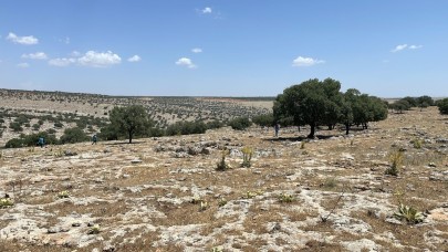 5 gündür kayıp çocuğu arama çalışmaları aralıksız sürüyor