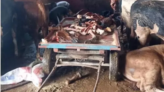 Ev Altında Sağlık Skandalı