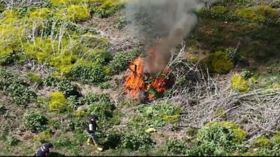 Dicle Nehri kenarında ekilen 100 milyon TL değerinde kenevir imha edildi