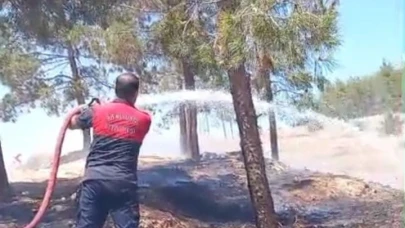 Şanlıurfa'da izmaritten yangın çıktı!