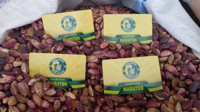 Destek olun, fıstık gibi bir takım kurulsun