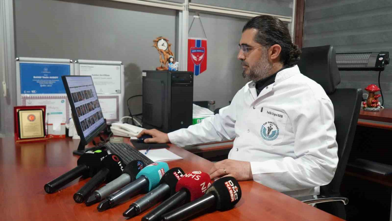 Prof. Dr. Kaya’dan zehirli mantar uyarısı: "Doğadan toplanan mantarlar hayati risk taşıyor"