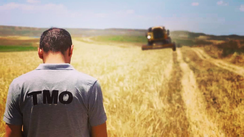 TMO, hububat alım fiyatlarını belirledi