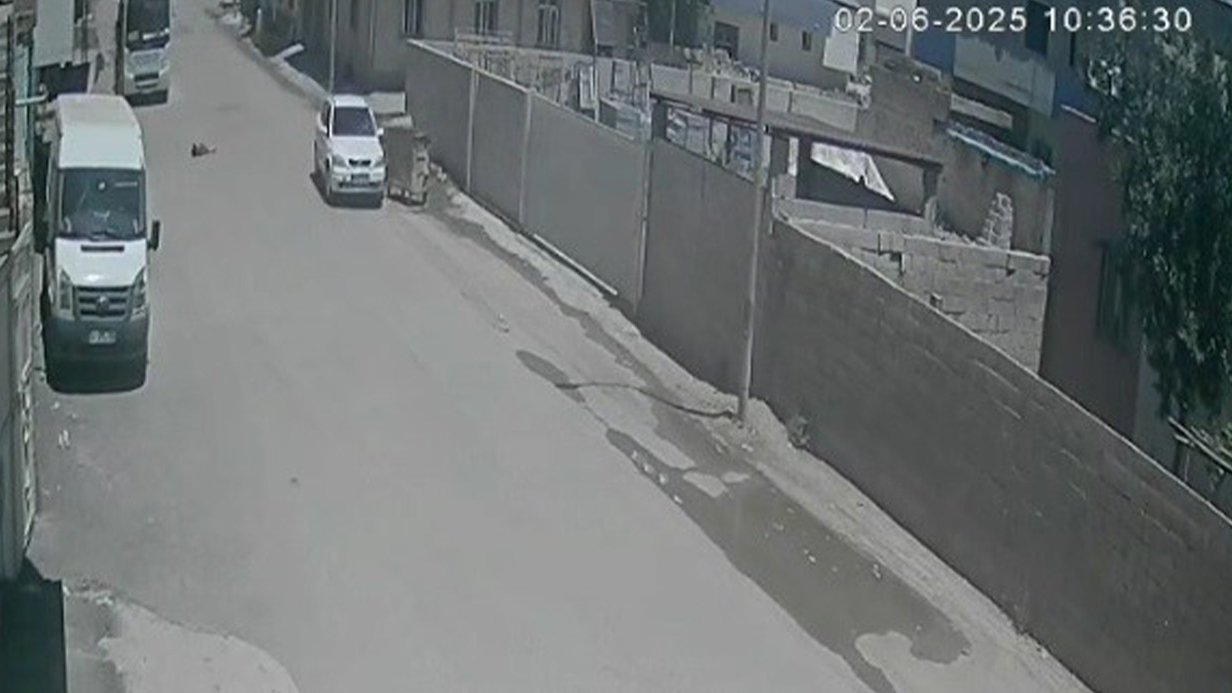 Vay vicdansız vay!