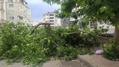 Şiddetli rüzgarın devirdiği ağaç park halindeki aracın üzerine düştü