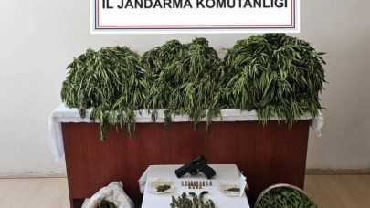 Uyuşturucu operasyonu: 4 gözaltı