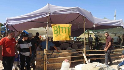 Kurban Bayramı’nın ilk günü hayvan pazarları dolup taştı