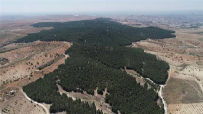 "Ormanlık alanlarda lütfen ateş yakmayalım"