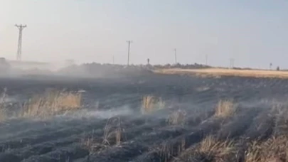 Şanlıurfa'da yangın: Buğday tarlası kül oldu