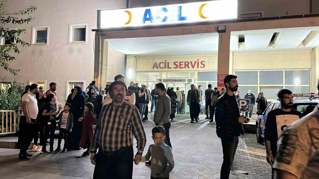 Şanlıurfa'da 'Hayvan tarlaya girdi' kavgası