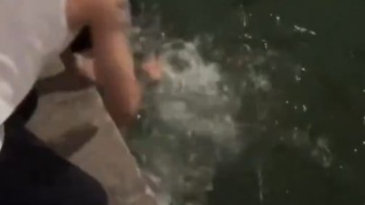 Şanlıurfa’da Balıklıgöl’deki Kutsal Balıklara Saygısızlık