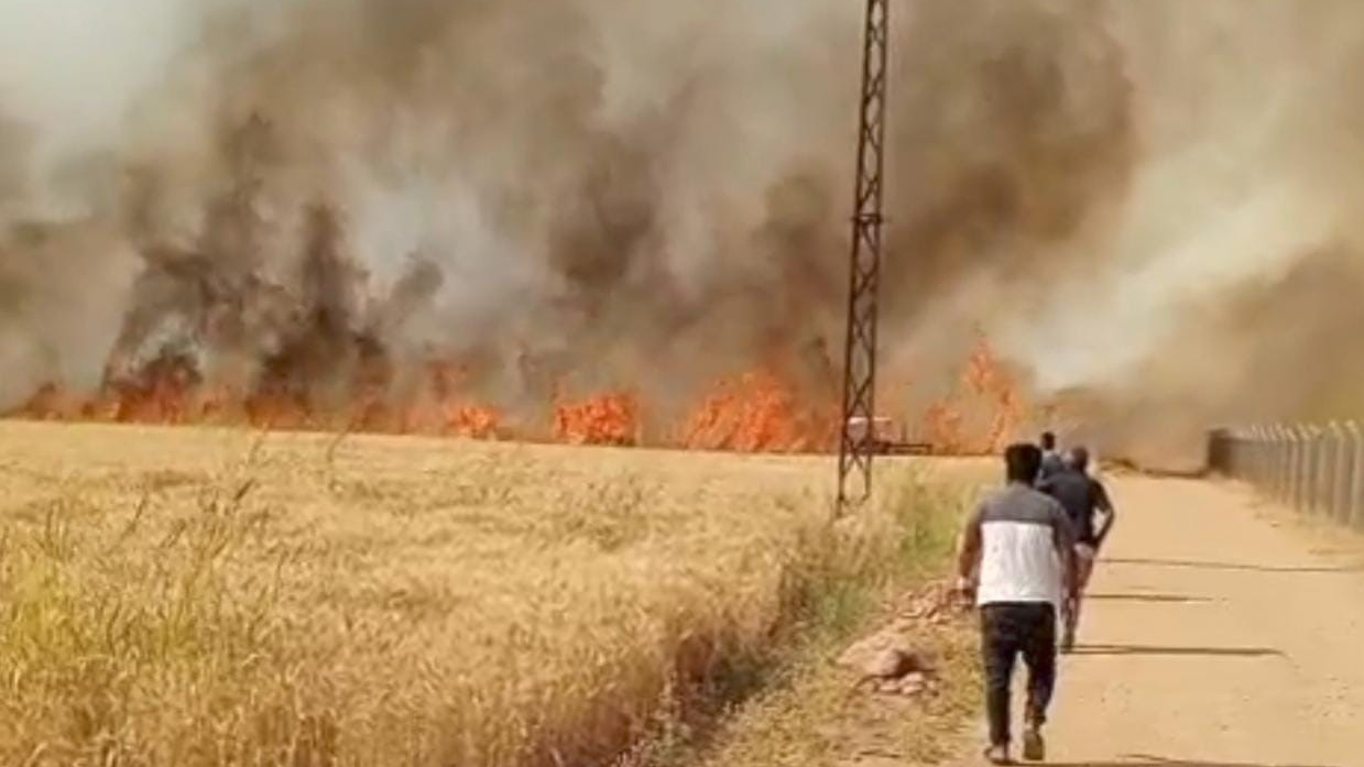 Şanlıurfa'da tarla yangını: Bir yıllık emekleri kül oldu