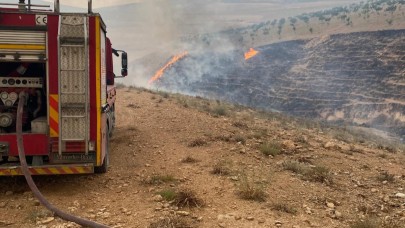 Şanlıurfa'da Orman Yangını Kontrol Altına Alınmaya Çalışılıyor