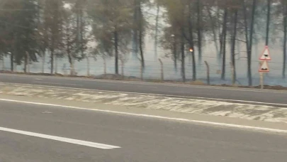 Şanlıurfa'da yangın: Yürekler ağızlara geldi