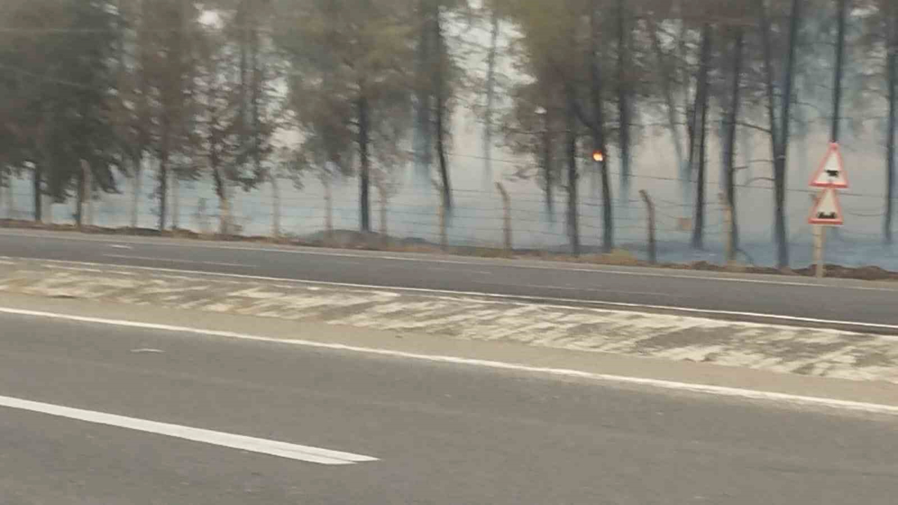 Şanlıurfa'da yangın: Yürekler ağızlara geldi