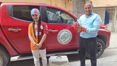 Şanlıurfa çiftçisinin dostu yaralı halde bulundu