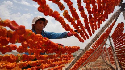 Kurutmalık sezonu başladı