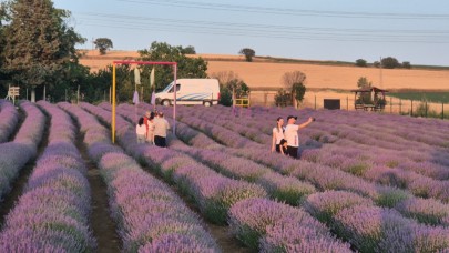 Tekirdağ Süleymanpaşa’da Lavanta Turizmi Başladı!