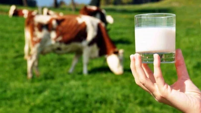 Ticari süt işletmelerince 981 bin 10 ton inek sütü toplandı