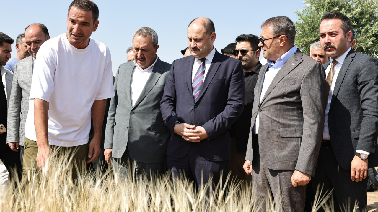 ŞANLIURFA’DA ULUSLARARASI BUĞDAY HASADI FESTİVALİ BAŞLADI