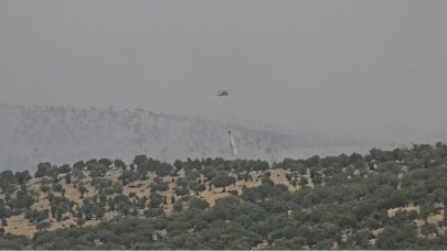 Çıkan orman yangını kontrol altına alındı