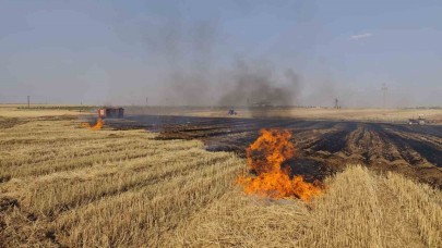 Çıkan anız ve orman yangınları söndürüldü