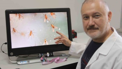 Uzmanlardan ’Yakarca’ uyarısı