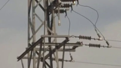 Elektrik hattında çıkan yangın korkuttu