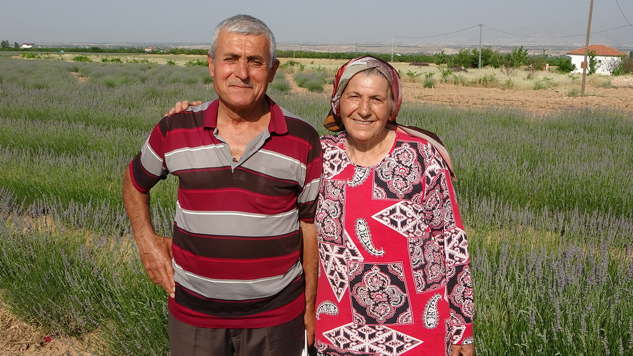İnternetten gördüler, lavanta üreticisi oldular