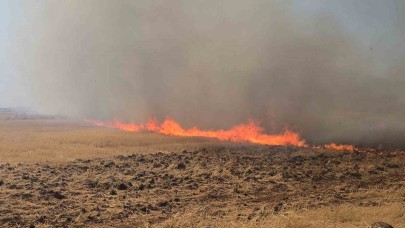Çıkan anız yangını fabrikaları tehdit etti