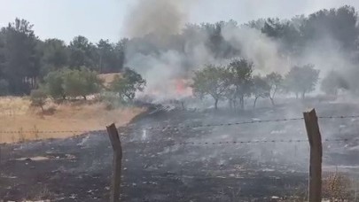 Ormanlık alanda çıkan yangın korkuttu