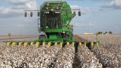 Pamuk'taki sorunlar Şanlıurfa'da masaya yatırılıyor