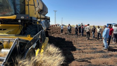 Şanlıurfa'da tarla yangınları: Emekler heba oldu