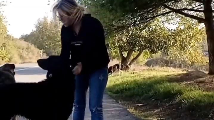 Sosyal Medyada Tepkiler Çığ Gibi Büyüyor