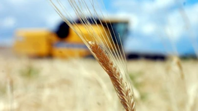 Tarım-GFE yıllık yüzde 30,12 arttı
