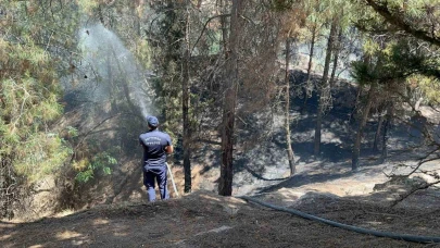 Çocukların çakmakla oyunu ormanı yaktı