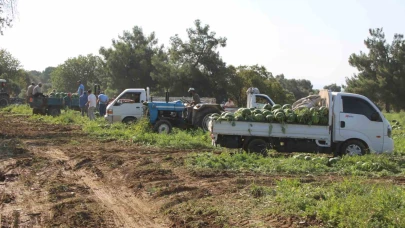 Çukurova’dan sonra Türkiye’nin gözü burada