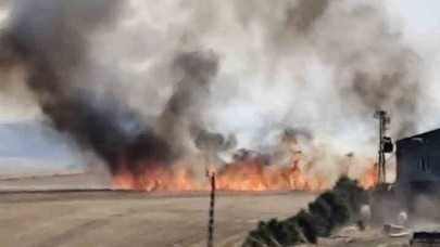 3 mahallesinde buğday tarlası yangını